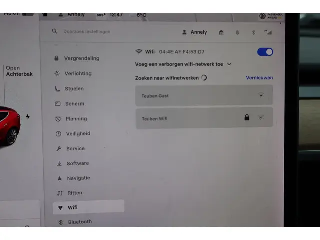 Tesla Model 3 Long Range AWD 75 kWh 2019 Elektrisch 42