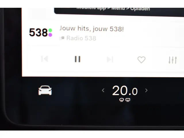 Tesla Model Y Long Range AWD 75 kWh 2021 Elektrisch 25
