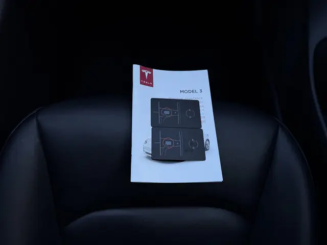 Tesla Model 3 Range Plus 2020 Elektrisch 24