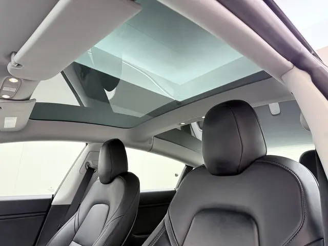 Tesla Model 3 Long Range AWD 75 kWh 2019 Elektrisch 20