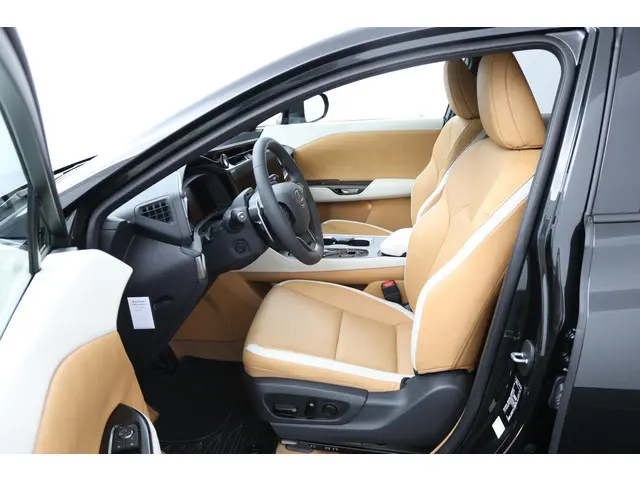 Lexus RZ 350e Luxury Line 77 kWh 2026 Elektrisch 16