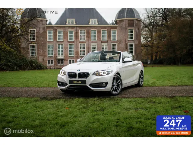 BMW 2 Serie Cabrio | 2018 Benzine