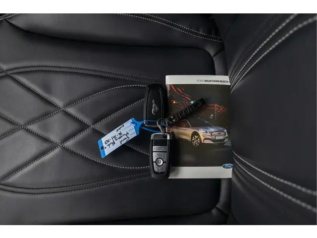 Ford Mustang Mach-E RWD 75 kWh 2021 Elektrisch 38