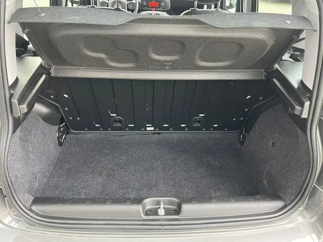 Fiat Panda 1.0 Hybrid City Cross 2020 Benzine 26