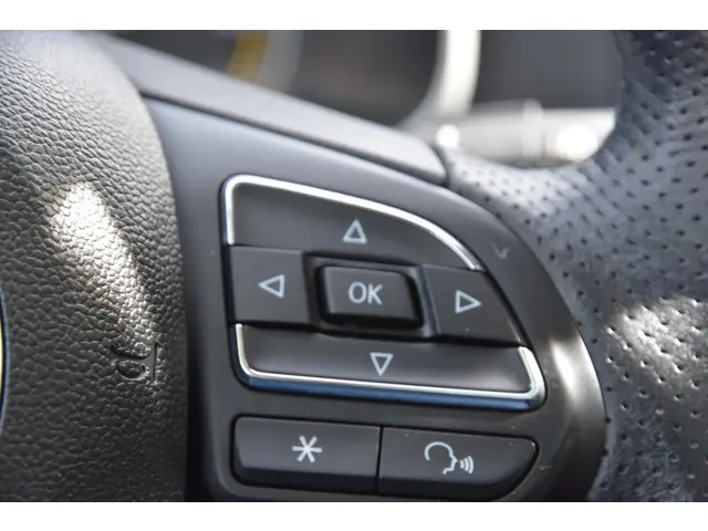 MG ZS-EV Luxury 45 kWh 2020 Elektrisch 11