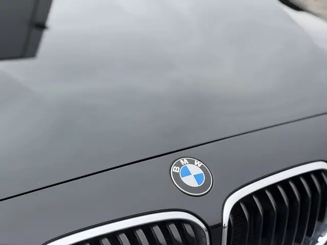 BMW 1 Serie 120i M Sport High Executive 2017 Benzine 12