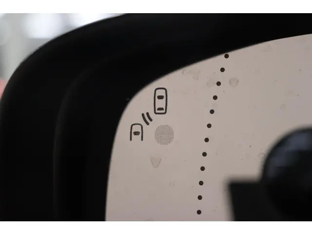 Renault Kadjar 1.3 TCe Intens 2019 Benzine 14