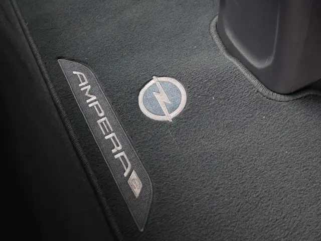 Opel Ampera-e LAUNCH EXECUTIVE 60 KWH 2018 Elektrisch 15