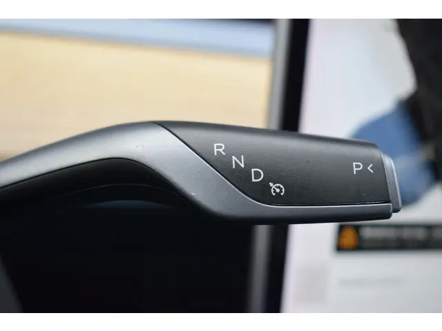 Tesla Model 3 Standard RWD Plus 60kWh 2020 Elektrisch 29