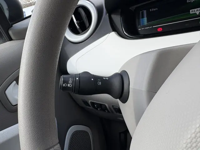 Renault ZOE R90 Intens 41 kWh 2017 Elektrisch 22