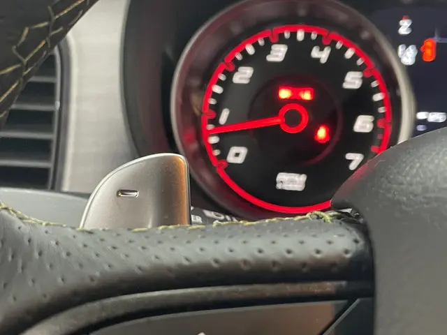 Dodge Charger SRT Scatpack Swinger WB 2024 Benzine 30