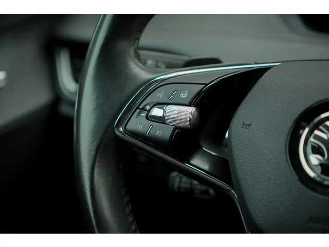 Škoda Enyaq iV 80 2021 Elektrisch 28