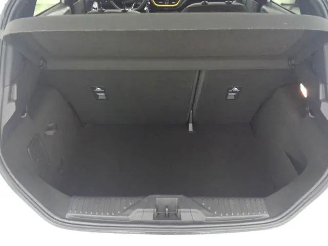 Ford Fiesta 1.0 EcoBoost Active 2019 Benzine 9