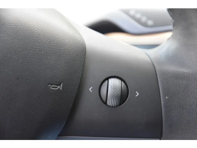Tesla Model 3 Standard RWD Plus 60 kWh 2020 Elektrisch 10