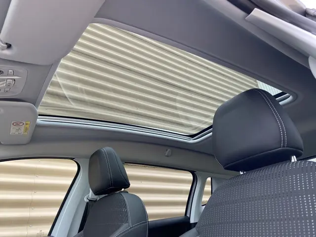 Peugeot 2008 1.2 PureTech Allure 2016 Benzine 47