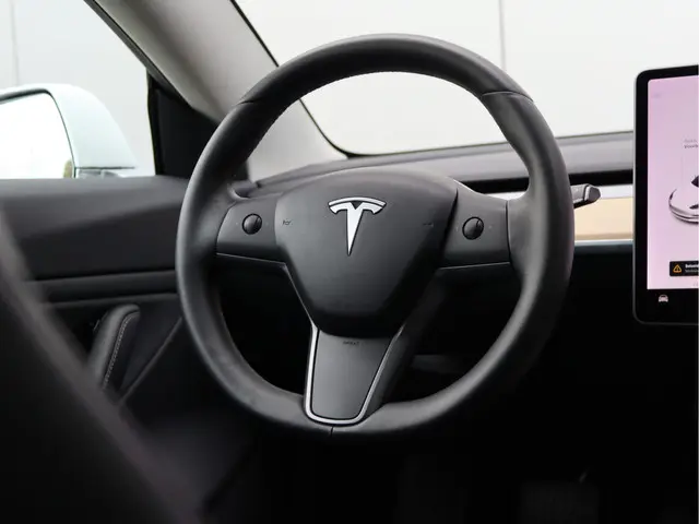 Tesla Model 3 Standard RWD Plus 60 kWh 2019 Elektrisch 18