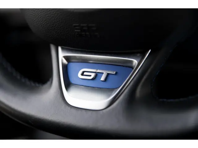 Renault Mégane 1.6 TCe GT*Automaat*4Control* 2017 Benzine 28