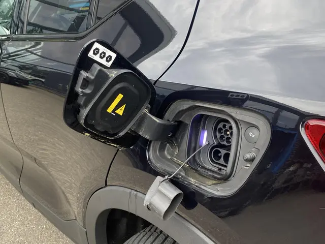 Volvo XC40 Recharge Plus 2022 Elektrisch 10