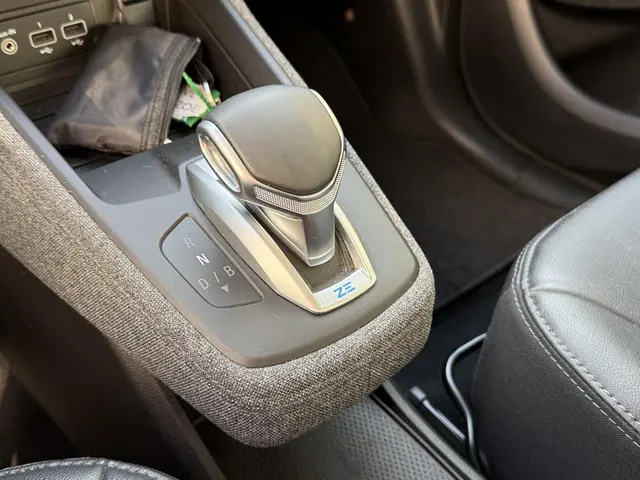 Renault ZOE R135 Intens 52 kWh 2021 Elektrisch 26