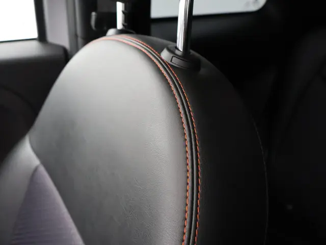Fiat 500e 24kwh 2015 Elektrisch 14