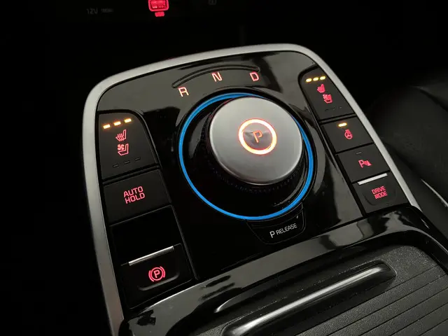 Kia e-Niro ExecutiveLine 64 kWh 2020 Elektrisch 10