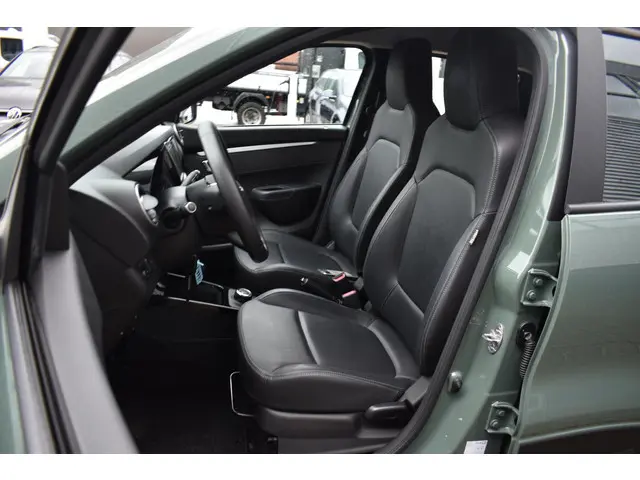 Dacia Spring Expression 27 kWh 2023 Elektrisch 10