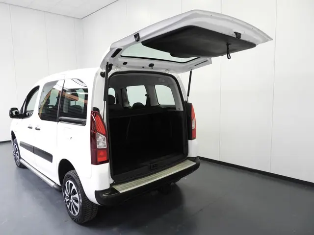 Citroën Berlingo 1.6 BlueHDi 4x4 Dangel 2016 Diesel 21