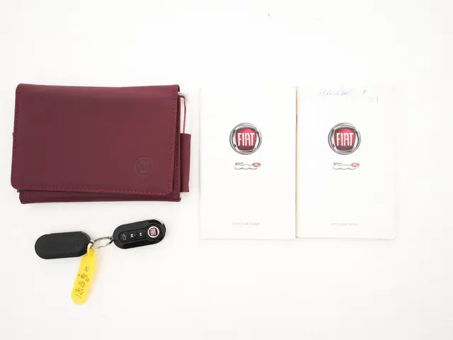 Fiat 500e 24kwh 2014 Elektrisch 23