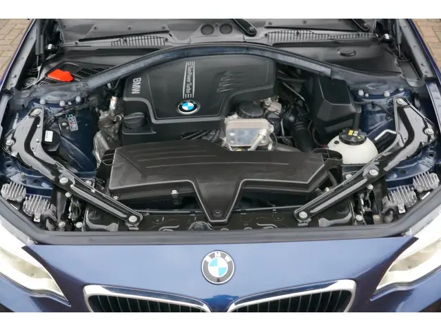 BMW 2 Serie Cabrio 220i EERSTE EIGENAAR 2015 Benzine 14