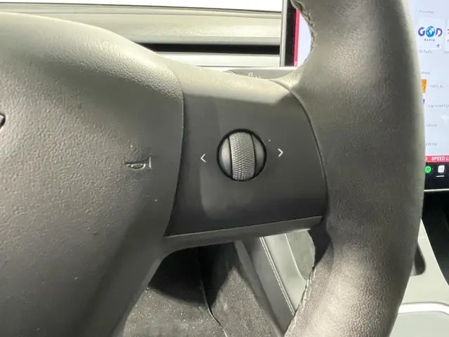 Tesla Model 3 Standard RWD Plus 60 kWh 2021 Elektrisch 18
