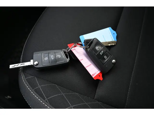 Škoda Fabia Combi 1.0 TSI Business Edition 2019 Benzine 33