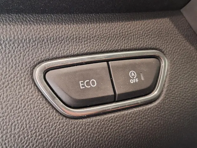 Renault Kadjar 1.3 TCe 160 EDC Intens 2019 Benzine 25