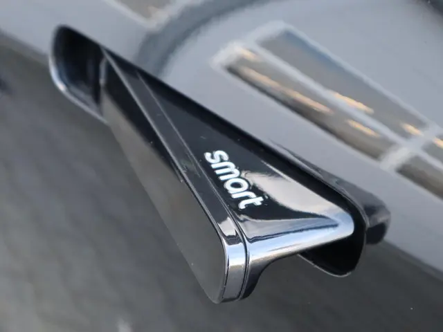 Smart #1 Pro+ 66 kWh 2024 Elektrisch 9