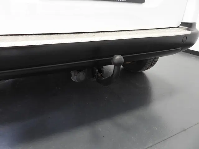 Citroën Berlingo 1.6 BlueHDi 4x4 Dangel 2016 Diesel 20