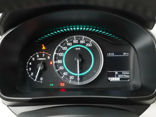 Suzuki Ignis 1.2 Stijl Smart Hybrid 2019 Benzine 12