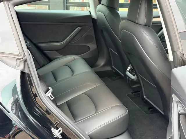 Tesla Model 3 Long Range RWD 75 kWh 2023 Elektrisch 10