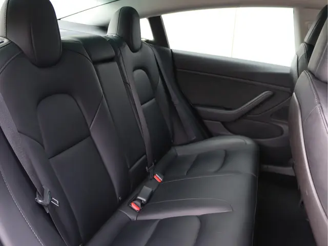 Tesla Model 3 Standard RWD Plus 60 kWh 2019 Elektrisch 22