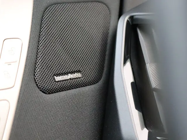 BMW iX xDrive40 2024 Elektrisch 13