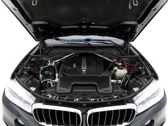 BMW X6 xDrive30d High Executive 2019 Diesel 33