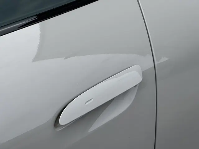 Porsche Taycan 4S Performance 93 kWh 2020 Elektrisch 23
