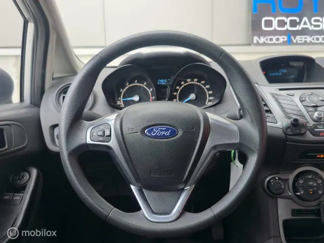 Ford Fiesta 1.25 | NAP | Airco | NAP 2016 Benzine 5