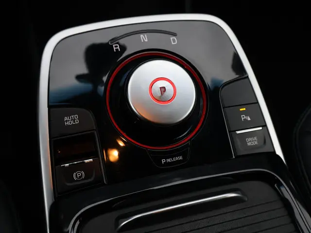 Kia e-Niro ExecutiveLine 64 kWh 2019 Elektrisch 18