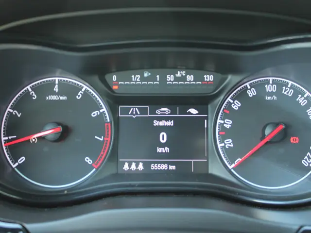 Opel Corsa 1.0 Turbo 120 Jaar Edition 2019 Benzine 14