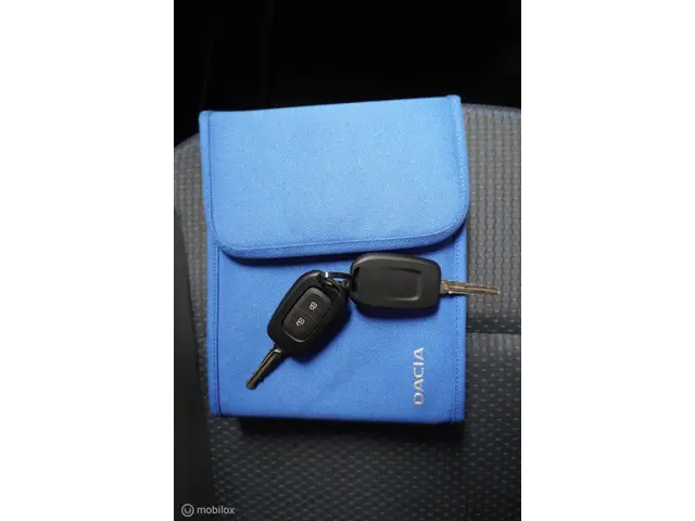 Dacia Spring Business 27 kWh 2021 Elektrisch 27