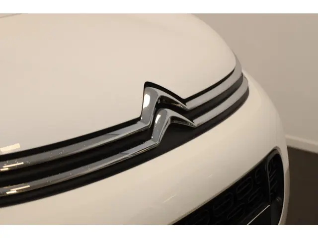 Citroën C3 Aircross PT 110 Shine 2020 Benzine 6