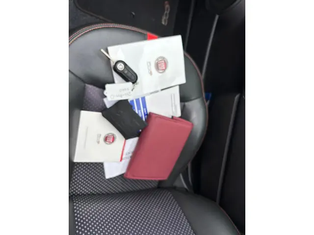 Fiat 500e 24kwh 2015 Elektrisch 7