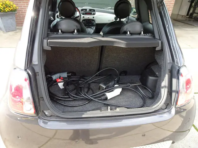 Fiat 500e 24kwh 2014 Elektrisch 12