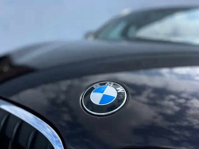 BMW X1 sDrive20i Centennial Executive 2016 Benzine 25
