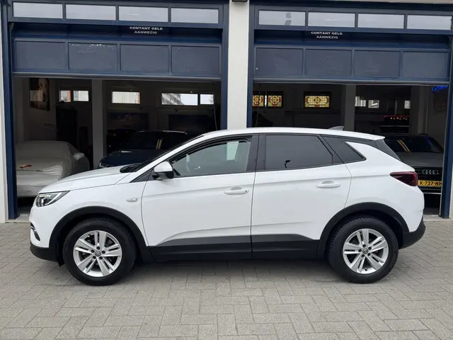 Opel Grandland X 1.2 Turbo Business + 2019 Benzine 4