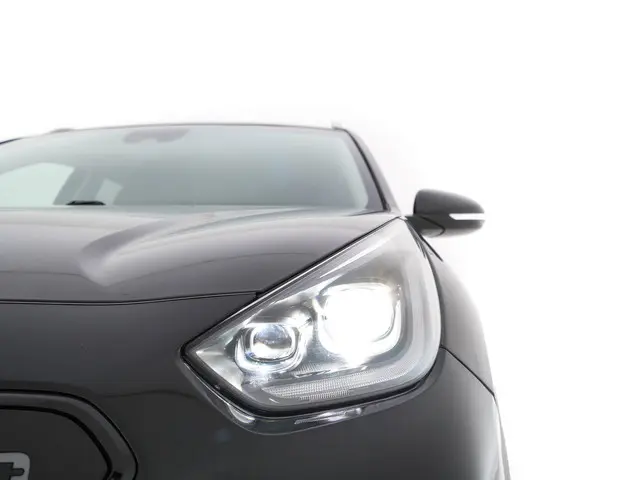 Kia e-Niro ExecutiveLine 64 kWh 2020 Elektrisch 31